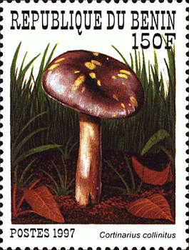 Briefmarke