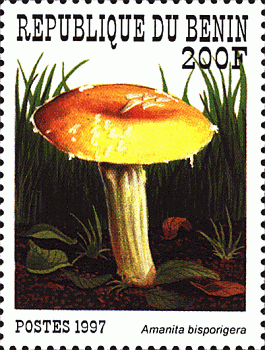 Briefmarke