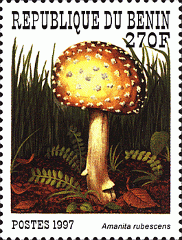 Briefmarke