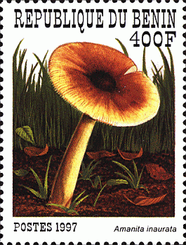 Briefmarke