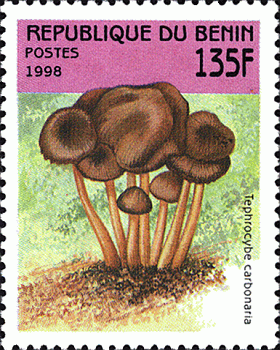 Briefmarke