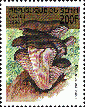 Briefmarke