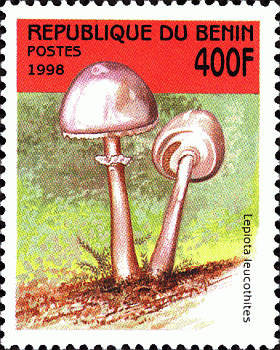 Briefmarke