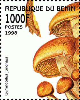 Briefmarke
