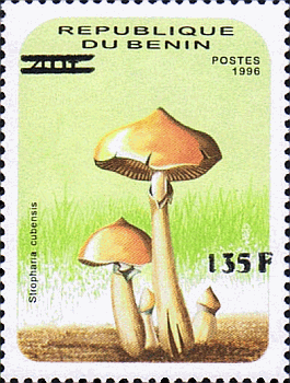 Briefmarke