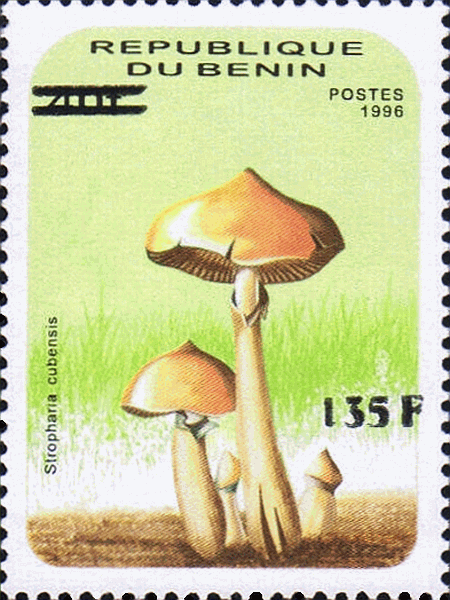 Briefmarke