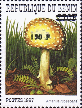 Briefmarke