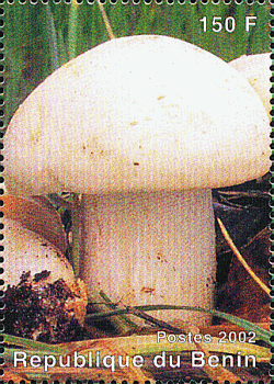 Briefmarke