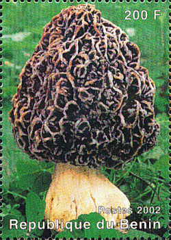 Briefmarke