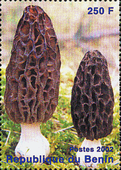 Briefmarke