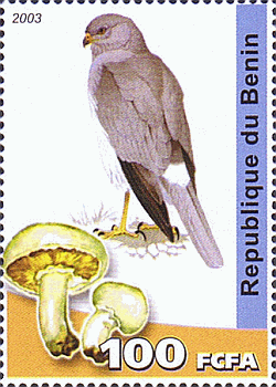Briefmarke