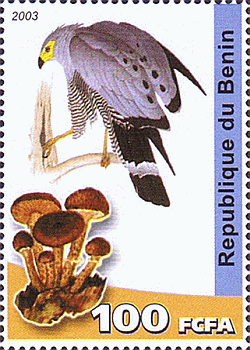 Briefmarke