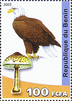Briefmarke