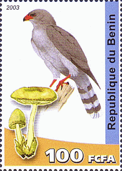 Briefmarke