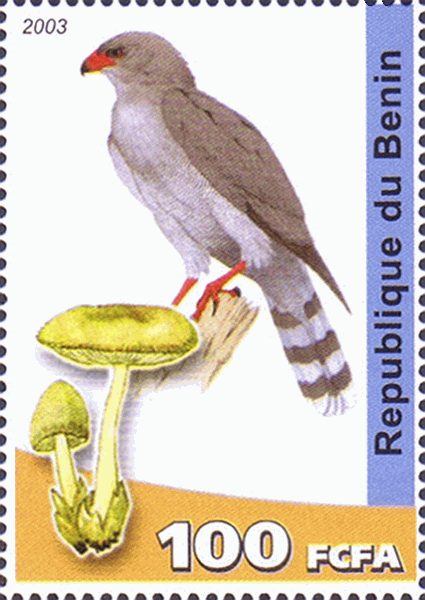 Briefmarke