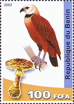 Briefmarke