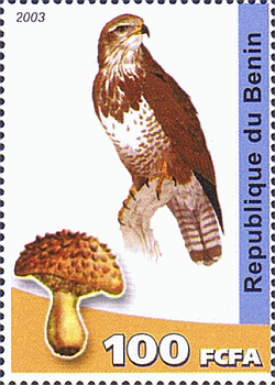 Briefmarke