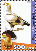 Briefmarke
