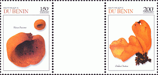 Zusammendruck