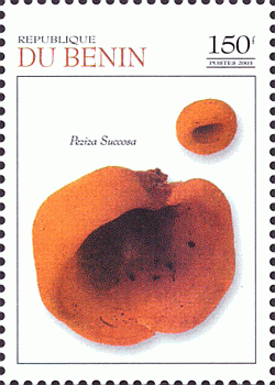 Briefmarke
