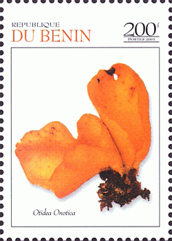 Briefmarke