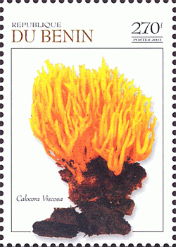 Briefmarke