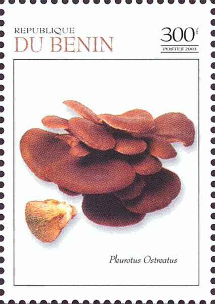 Briefmarke