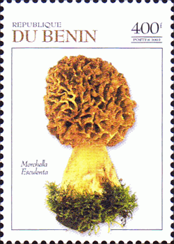 Briefmarke