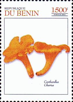 Briefmarke