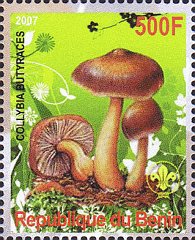 Briefmarke