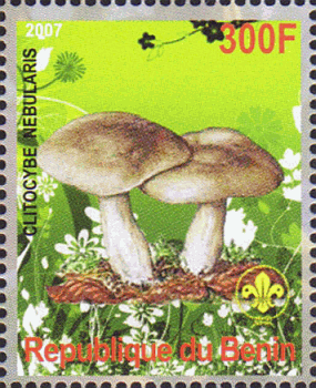Briefmarke