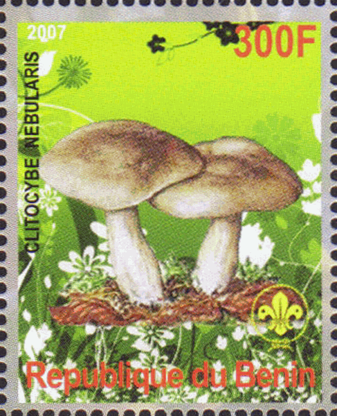Briefmarke