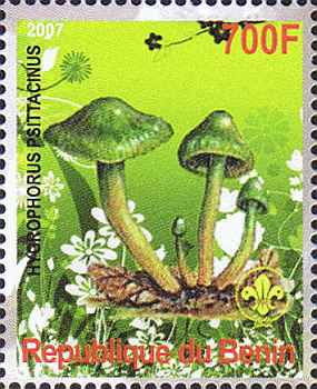 Briefmarke