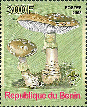 Briefmarke