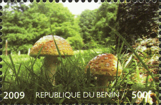 Briefmarke