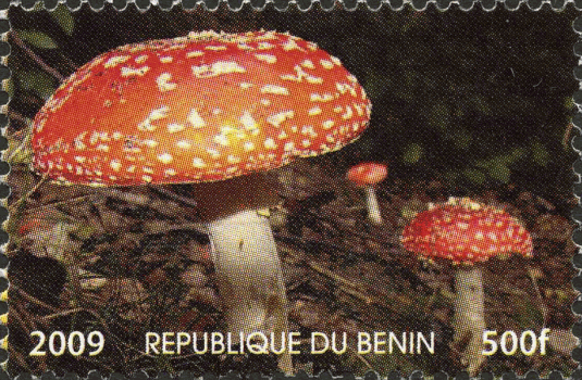 Briefmarke