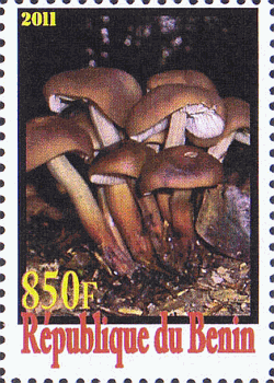 Briefmarke