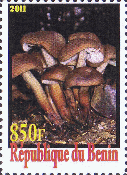 Briefmarke
