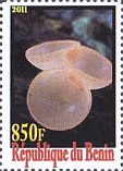 Briefmarke