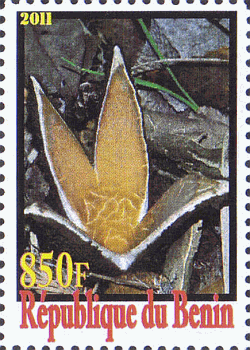 Briefmarke