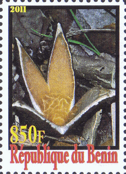 Briefmarke