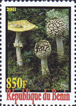 Briefmarke