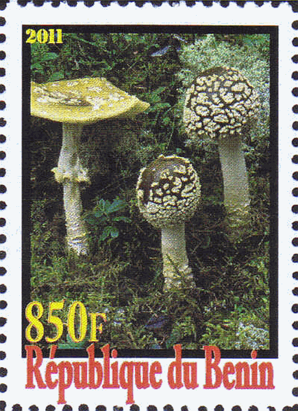 Briefmarke
