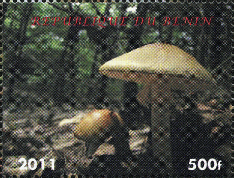Briefmarke