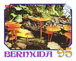 Briefmarke