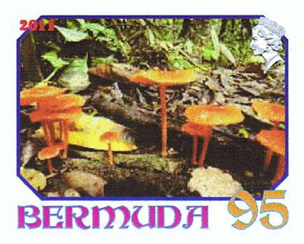 Briefmarke