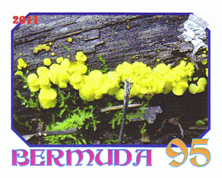 Briefmarke