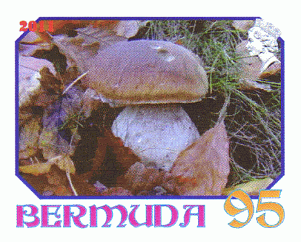 Briefmarke