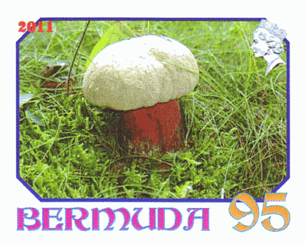 Briefmarke