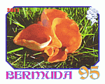 Briefmarke